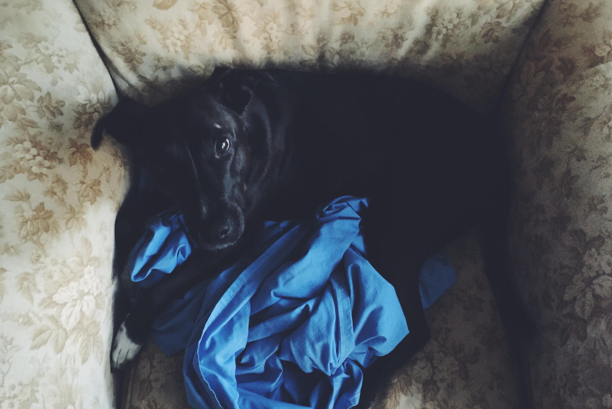 Bagel Eyes, Feb 2016